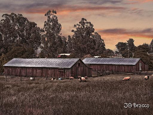 DSC02830-e1.tif - Penngrove