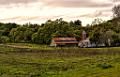 DSC28784-5-o