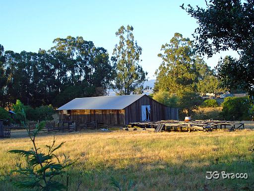 DSC00605.JPG - Cotati