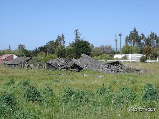 DSC06489.JPG - Petaluma